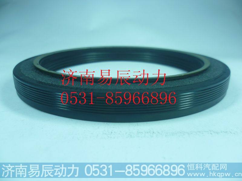 VG1246010005前油封
