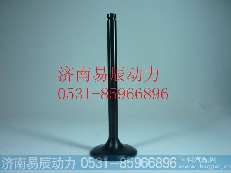 VG1246050021进气门