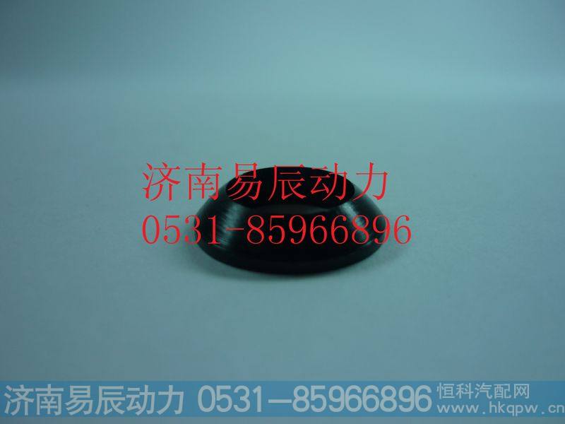 VG1246080111球面垫圈