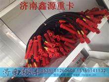 潍柴天然气高压线612600190764