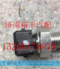 重汽曼MC11水温传感器201V27421-0190