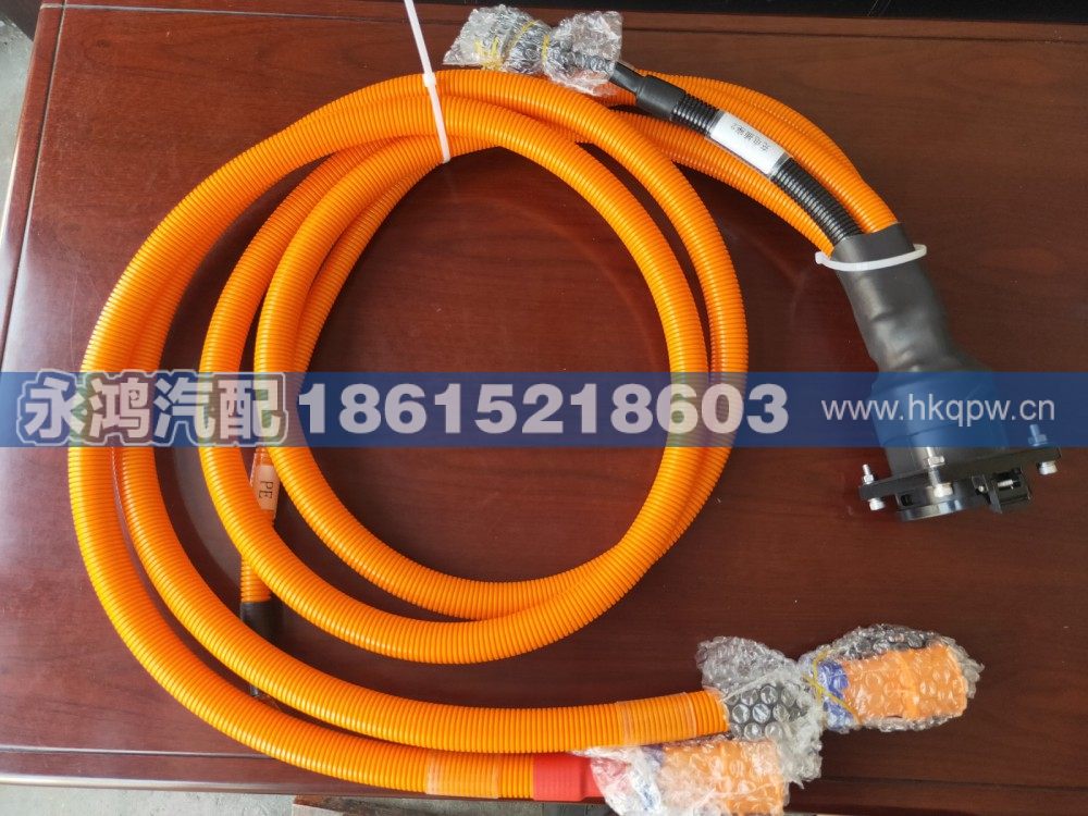 DZ96319780728充电插座2号/陕汽电动车充电线束/电动车充电座