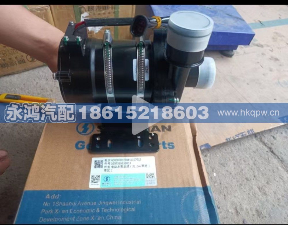 DZ97389539003電動(dòng)水泵/新能源德龍水泵/電動(dòng)車水泵/電子水泵/DZ97389539003
