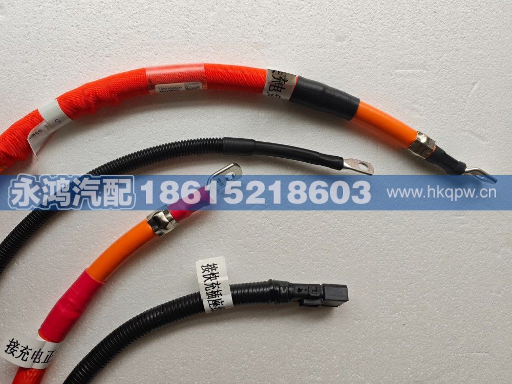 2105170A059A2直流充電插座高壓線/