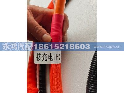 2105170A059A1,直流充电插座高压线/柳汽H5,济南市天桥区永鸿汽配