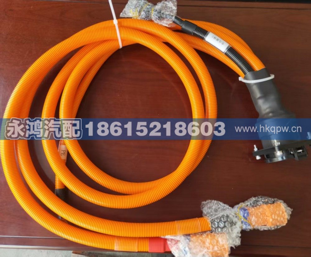 DZ9A319783008充电线缆/德龙电动车/新能源码头车/电动矿车/DZ9A319783008