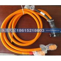 DZ9A319783008充电线缆/德龙电动车/新能源码头车/电动矿车
