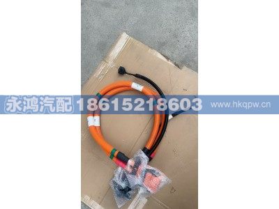 DZ96259783022,DZ96259783022高压电缆/国标充电插座1号/新能源同力充电线缆,济南市天桥区永鸿汽配