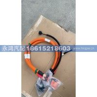 DZ96259783022高压电缆/国标充电插座1号/新能源同力充电线缆