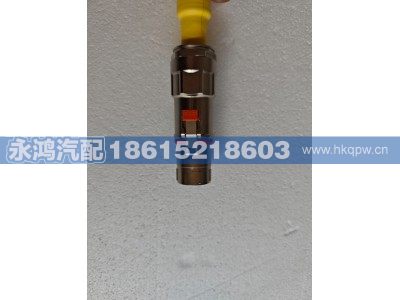 DZ9A25978102,DZ9A259781027单芯高压线缆/电机控制器W-电机W/新能源矿车/码头无人驾驶,济南市天桥区永鸿汽配