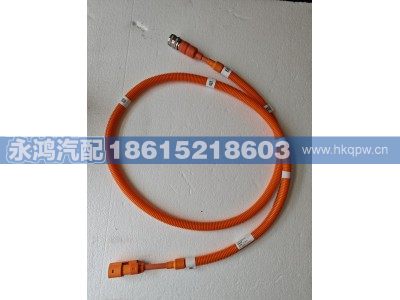 DZ9A319781300,DZ9A319781300双芯高压线缆/四合一-PTC/陕汽电动车/重汽新能源/同力矿车,济南市天桥区永鸿汽配