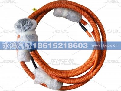 DZ96189781047,DZ96189781047单芯高压线缆/BMS-_IPT180-1P-70-SQ/电池/重汽新能源/解放,济南市天桥区永鸿汽配