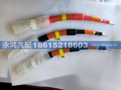 DZ96259781186,DZ96259781186单芯高压线缆/BMS正-电池正/电动矿车/欧曼/新能源解放,济南市天桥区永鸿汽配