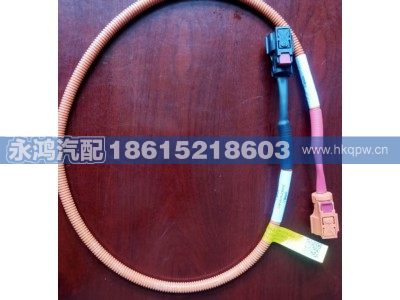 ,DZ96259781209单芯高压线缆/电池加热/陕汽新能源/重汽电动车,济南市天桥区永鸿汽配