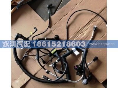 DZ97189779509发动机线束总成/陕汽新能源线束,DZ97189779509发动机线束总成/陕汽新能源线束,济南市天桥区永鸿汽配