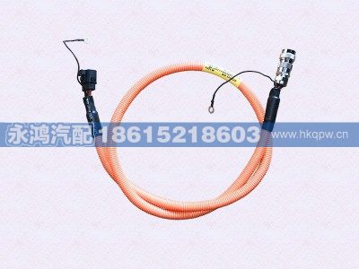 LZ21050201,LZ21050201转向泵电机-控制器电缆,济南市天桥区永鸿汽配