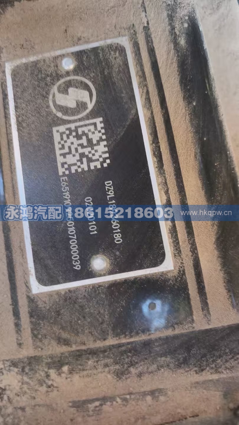 DZ9L189360180电动空压机与转向油泵总成/陕汽新能源
