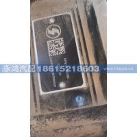 DZ9L189360180电动空压机与转向油泵总成/陕汽新能源