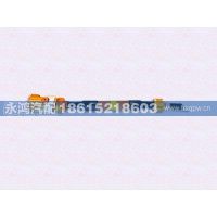 DZ9H259781048 单芯高压电缆/BMS负-PDU负