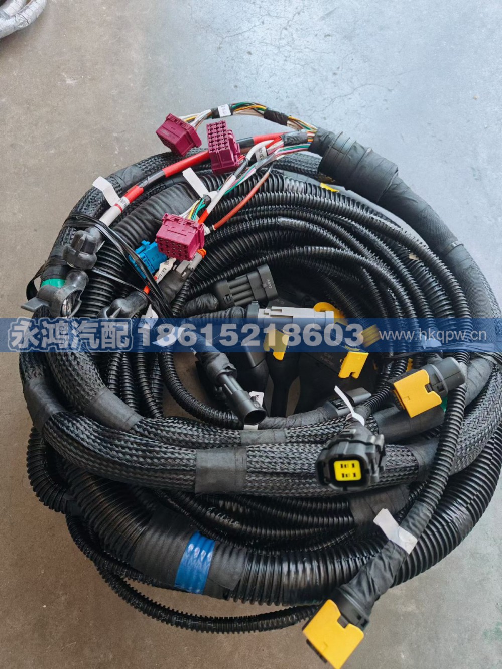 DZ96189778944发动机线束模块(MA/WP13NGE60/OH6/陕汽新能源/电动车