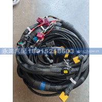 DZ96189778944发动机线束模块(MA/WP13NGE60/OH6/陕汽新能源/电动车