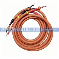 DZ9H259781335单芯高压线缆/PDU1+_TE7-2443906-3_PDU1-_TE8-2443906-3/电驱桥_TE2371017-1/95/6400_6400