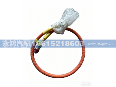 DZ9L189781042,,濟南市天橋區(qū)永鴻汽配