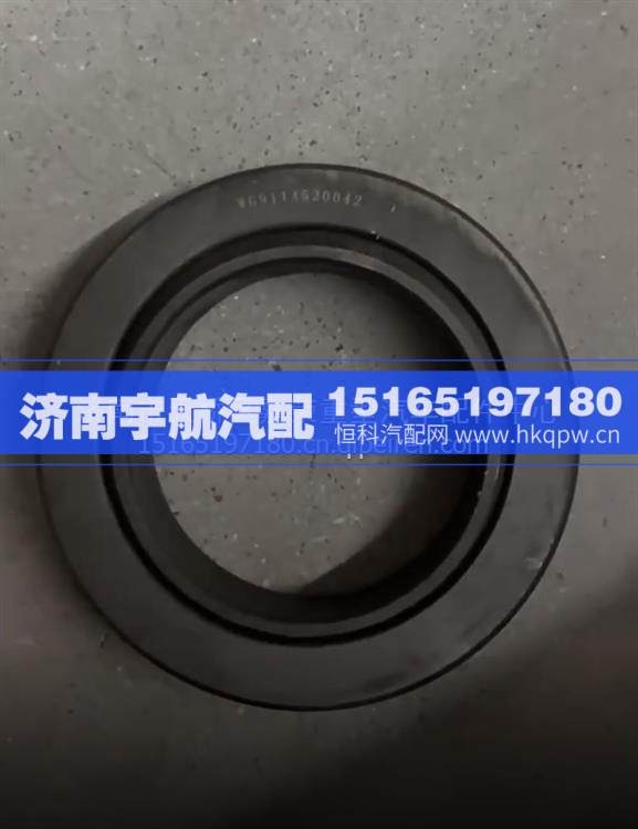 WG9114520042重汽豪威60矿推力轴承图1