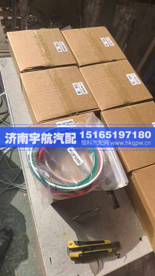13529010003,氮气缸,济南宇航汽配