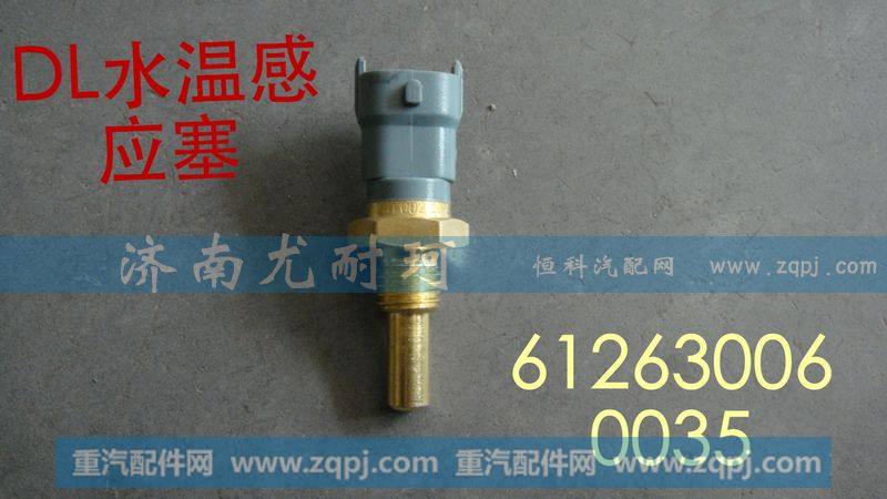 612630060035 德龙水温感应塞