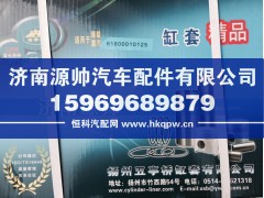 61800010125,潍柴重汽缸套,济南源帅汽车配件有限公司