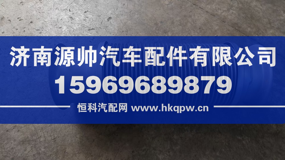 豪沃金属管WG9925549902