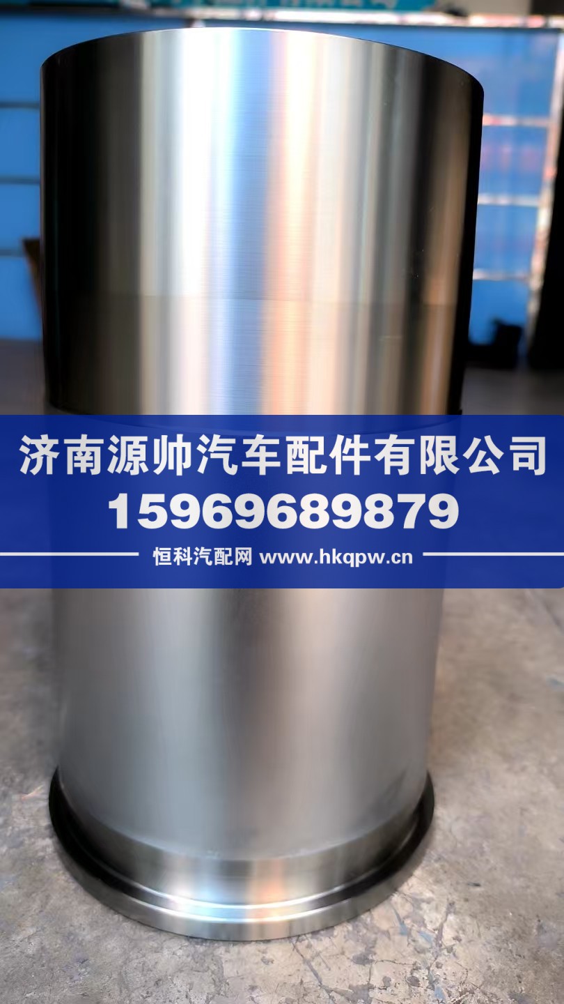 重汽曼气缸套   202V01201-0495