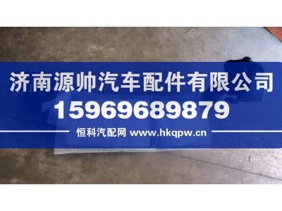 WG1664778081,T7H左倒车镜总成,济南源帅汽车配件有限公司