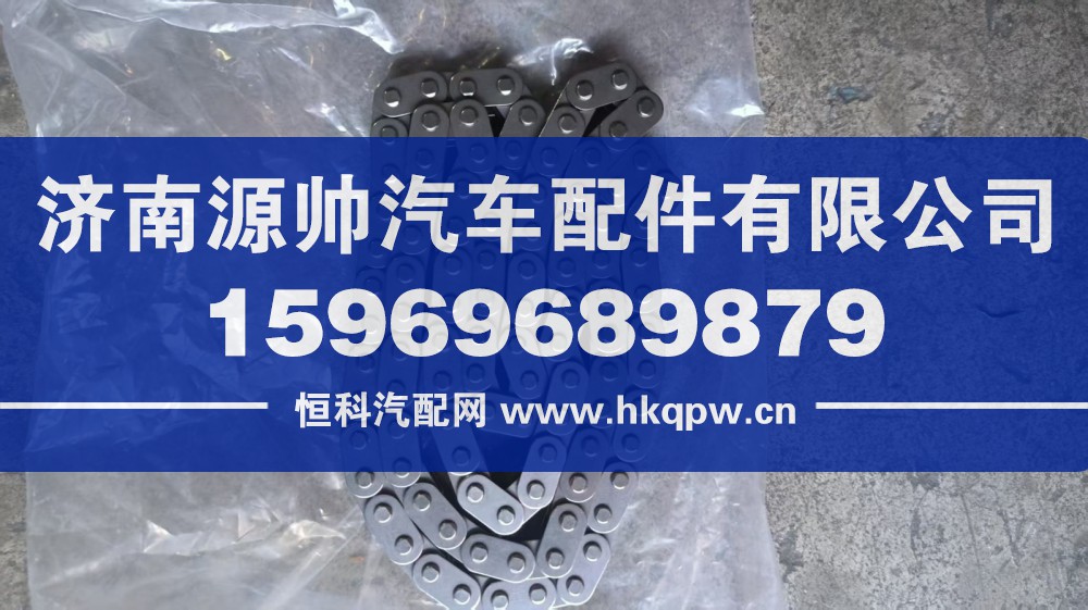 锡柴凸轮轴驱动链条上导轨总成  10260510D