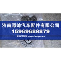 锡柴凸轮轴驱动链条上导轨总成  10260510D
