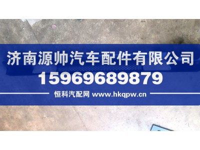 WG1662115025,T5G前翻转轴装饰板,济南源帅汽车配件有限公司