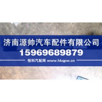 T5G前翻转轴装饰板  WG1662115025