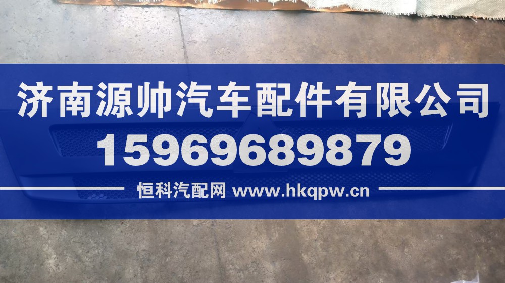 T5G前面罩中网  WG1662115016