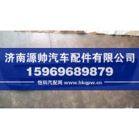 T5G前面罩中网  WG1662115016