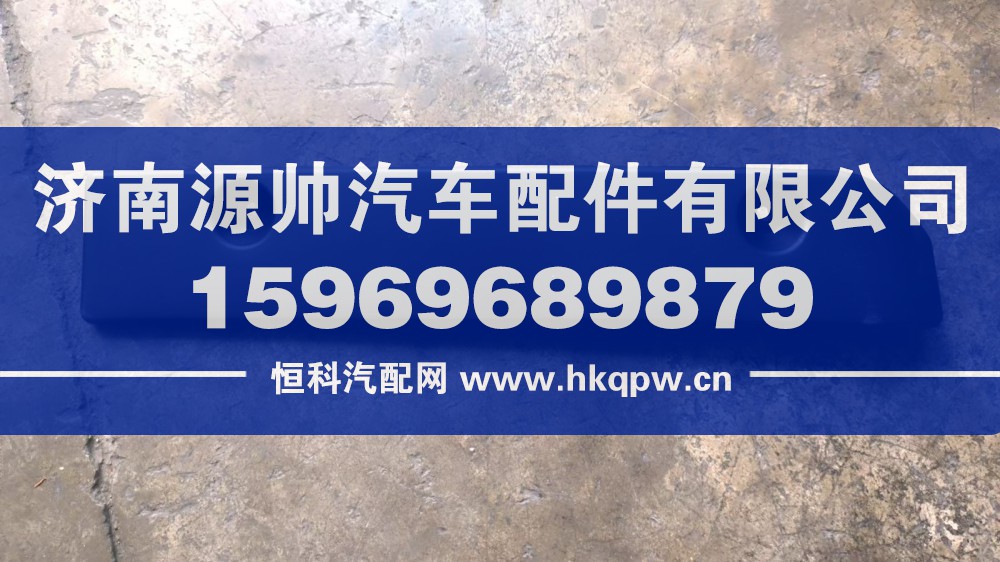 TX保险杠左盖板  WG1664248109
