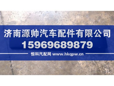 WG1664248109,TX保险杠左盖板,济南源帅汽车配件有限公司
