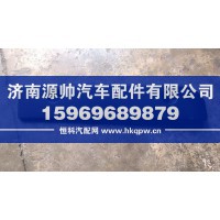 TX保险杠左盖板  WG1664248109