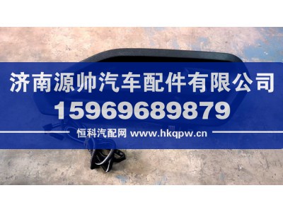 DZ16231340110,德龙X6000无钥匙外把手,济南源帅汽车配件有限公司