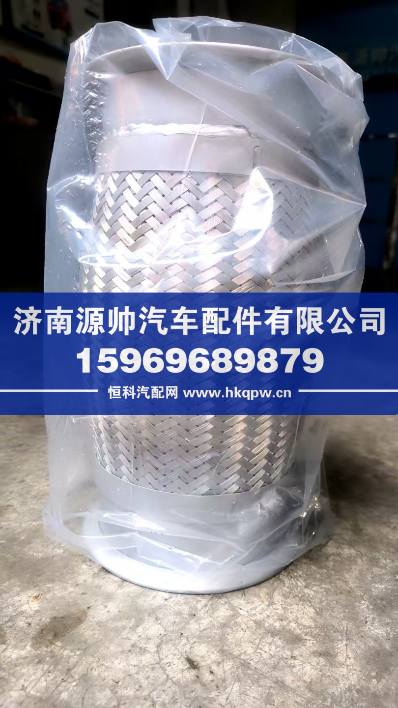 德龙绕性软管  DZ9112540058
