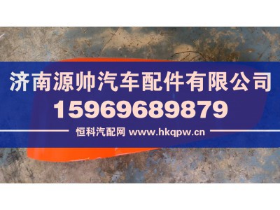 812W41610-0227,汕德卡保险杠装饰板 左,济南源帅汽车配件有限公司