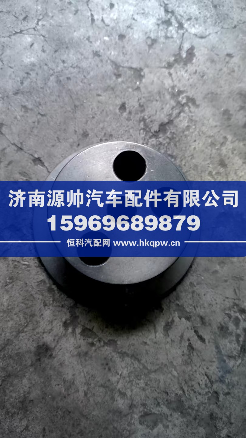 重汽曼前中间齿轮    200V11302-0053