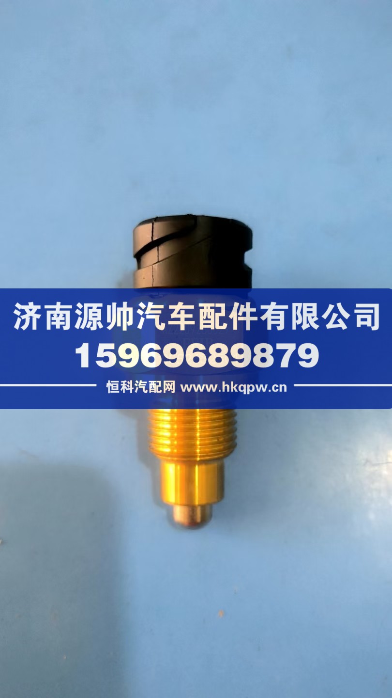 WG2209280029,豪沃压力开关,济南源帅汽车配件有限公司