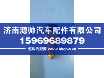 WG2209280029,豪沃压力开关,济南源帅汽车配件有限公司
