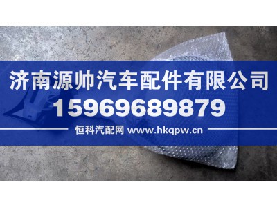 AZ16D477000001,汕德卡前下视镜总成,济南源帅汽车配件有限公司
